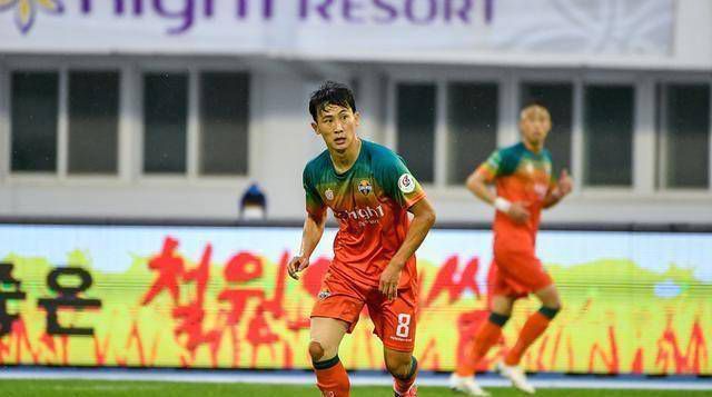 国产免费又黄又爽